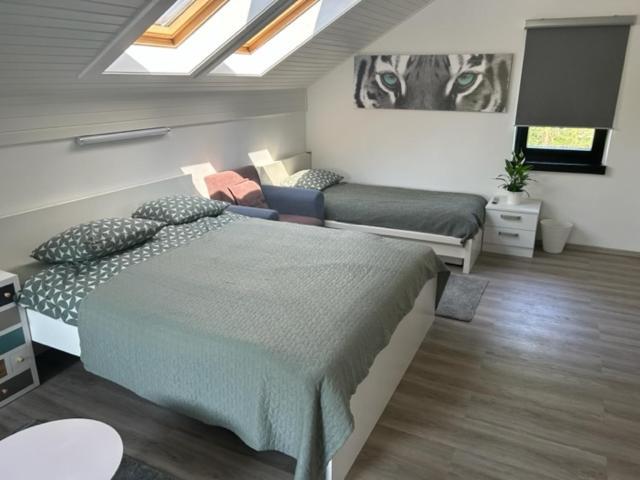 A&E Apartment Любляна Екстер'єр фото